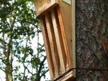 Monitoring zasiedlenia skrzynek nietoperzowych w trzech Parkach ZPKWŁ, <p>skrzynka szczelinowa</p>